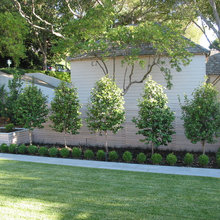 Driveway/Front Garden