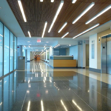 Alcon Lighting Application Photos