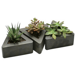 Modern Indoor Pots And Planters by Rough Fusion