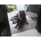 Adi Kusuma's photo