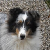 Judi Quinlan's photo