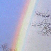 Foto von Donna Douville