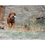 Sue Towne's photo