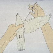 Foto von Rae Zhang
