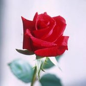 Jane Elskamp's photo