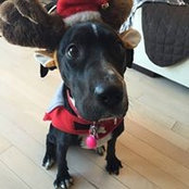 Katherine Chiao's photo