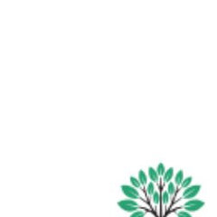 Stanton Tree Service