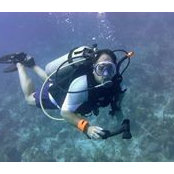 Alden Foraie's photo