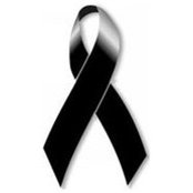 Gustavo Pefaur's photo