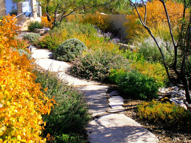Traditional Landscape by Waterwise Landscapes Incorporated
