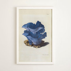 Coral Print - Pagoda - Artwork