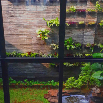 Garden Renovation | Private House - Mr. Albert