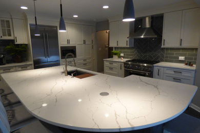 Transitional home design photo in Chicago