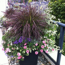 Roof Deck Planter