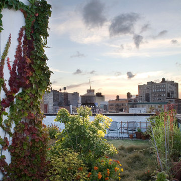 Baxter Penthouse