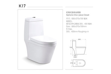 Chinese Water Closet/single piece toilet