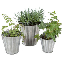 Farmhouse Outdoor Pots And Planters by The Grey Antler