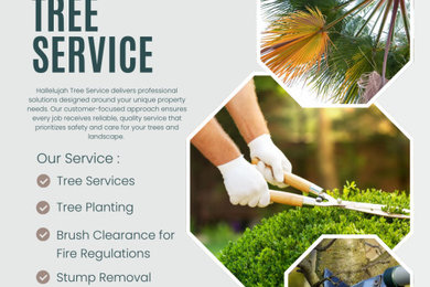 Tree Service