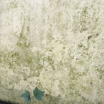Stained Concrete: Driveway, Pool Deck, Patio, Sidewalks.