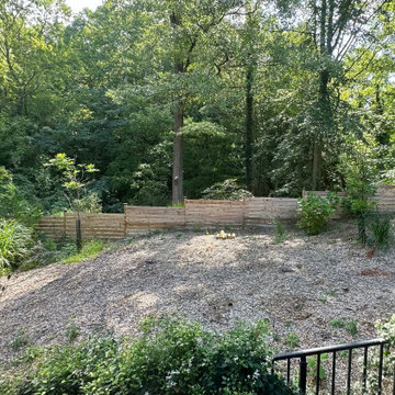 Conservation and rain gardens landscape