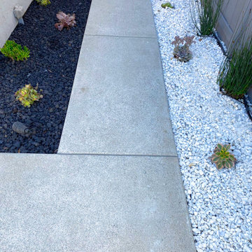 Rancho Santa Fe Landscape Remodel