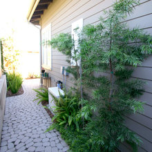 Side Garden