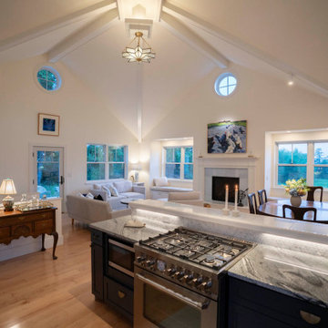 The Harmonic House, Carol Gregor