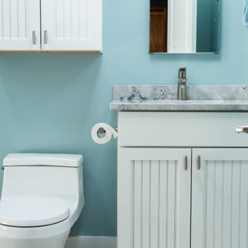Bathroom Remodel - Art Museum, Philadelphia