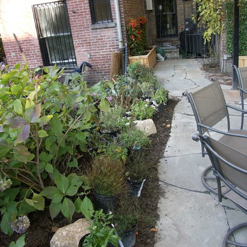 Courtyard patio landscape