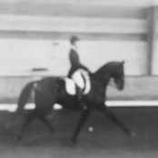 Andrew Blooms foto