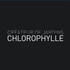 Chlorophylle