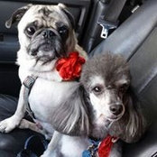 Niana Robinson's photo