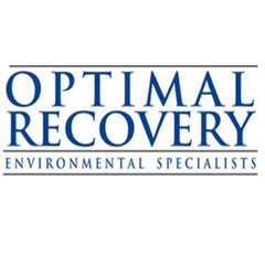 Optimal Recovery