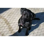 Brandon Kerschner's photo