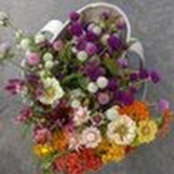 Katie Kappes's photo