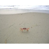 Marlene Bingaman's photo