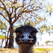 Deanne Kenyon's photo