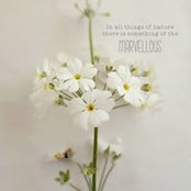 Angela Osment's photo