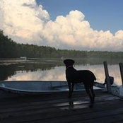 Foto de Lisa Bixby