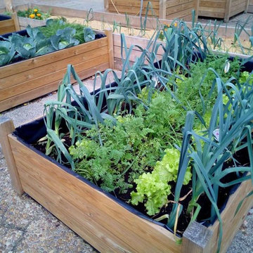 INSTALACION PATIO