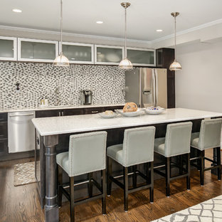 ワシントンD.C.のトランジショナルスタイルのおしゃれな着席型バー (シェーカースタイル扉のキャビネット、濃色木目調キャビネット、マルチカラーのキッチンパネル、ボーダータイルのキッチンパネル、濃色無垢フローリング、茶色い床、アンダーカウンターシンク) の写真