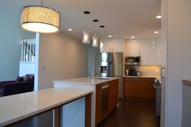Open concept kitchen - mid-sized modern l-shaped dark wood floor open concept kitchen idea in Boston with an undermount sink, flat-panel cabinets, quartz countertops, gray backsplash, porcelain backsplash, stainless steel appliances and an island