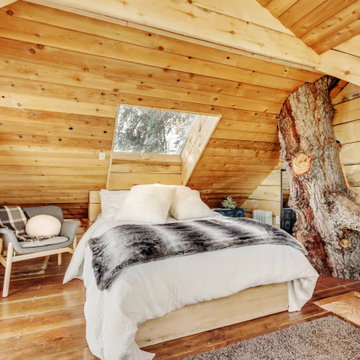 Most Wishlisted Stays in 50 States
