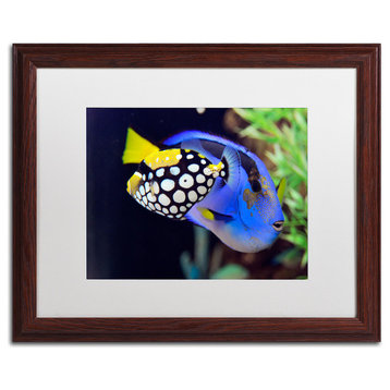 'Colorful Tropical Fish' Matted Framed Canvas Art by Kurt Shaffer