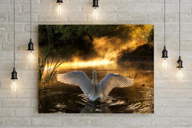 Rising Swan
