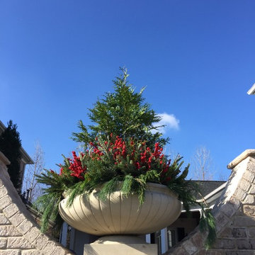 Planters