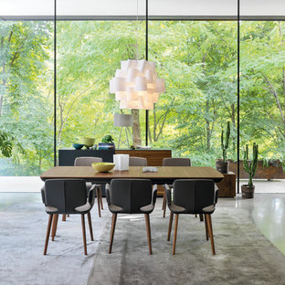 ハノーファーの広いコンテンポラリースタイルのLDKの画像 (コンクリートの床、暖炉なし、グレーの床)