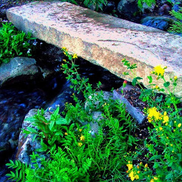 Natural Garden Pond