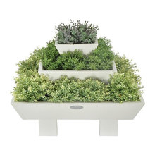 For plants