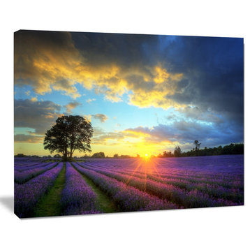 Stunning Sunset over Lavender Fields, Large Flower Canvas Wall Art, 20"x12"
